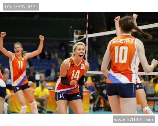 武汉排球队在欧锦赛中的意识表现分析与点评 武汉排球队在欧锦赛中的意识表现分析与点评